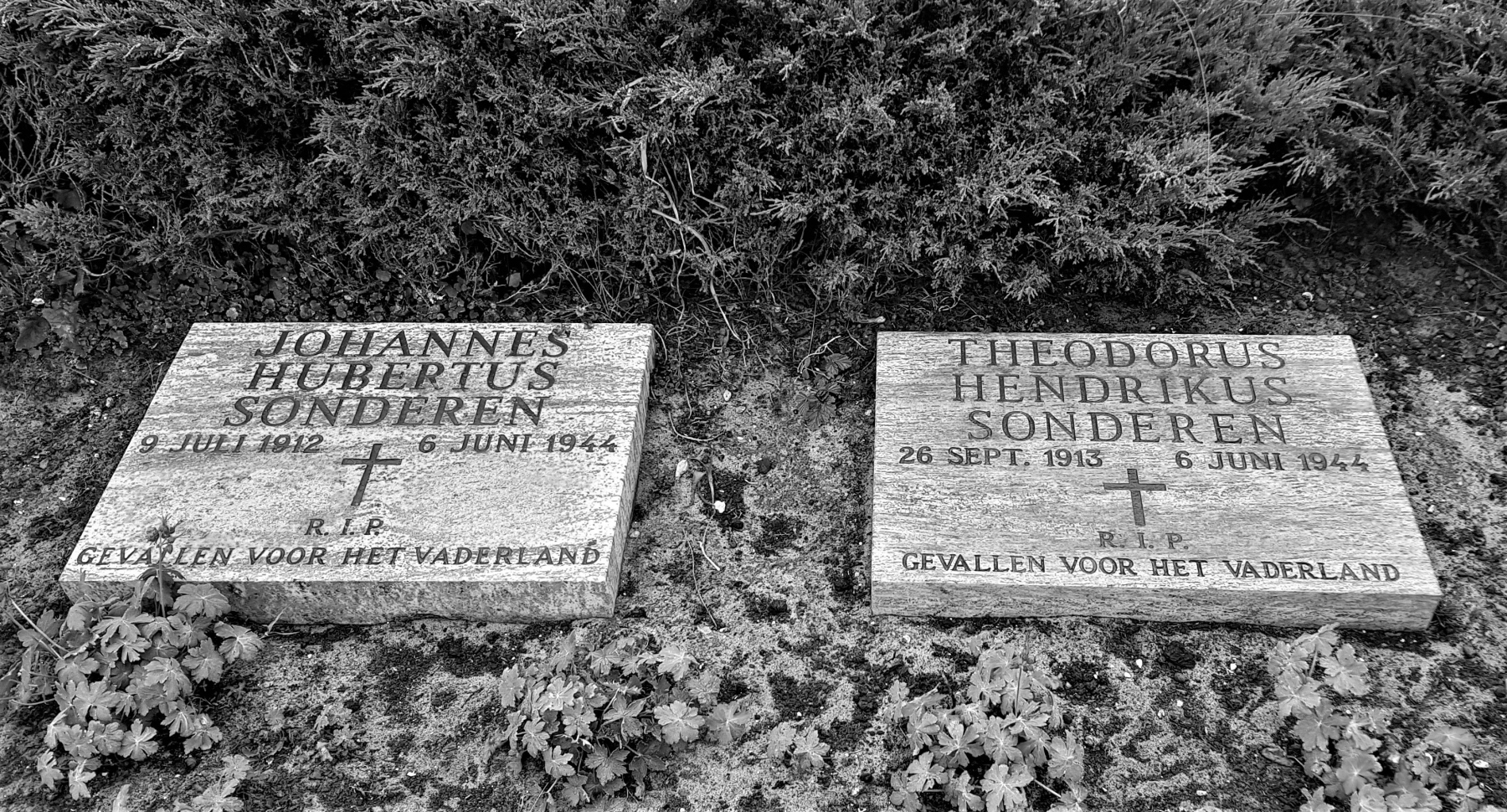 Graven broers Sonderen eerebegraafplaats Bloemendaal (foto: Paul Westmeijer)